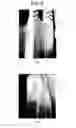 Fig. 05 - Method of manufacturing ceramic sintered body and ceramic sintered body