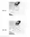 Fig. 04 - ADDITIVE MANUFACTURING OF POROUS SCAFFOLD STRUCTURES