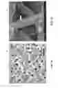 Fig. 10 - ADDITIVE MANUFACTURING OF POROUS SCAFFOLD STRUCTURES