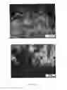 Fig. 07 - METHOD OF CLADDING, ADDITIVE MANUFACTURING AND FUSION WELDING OF SUPERALLOYS AND MATERIALF OR THE SAME