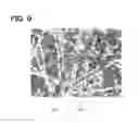 Fig. 07 - Metallic abrasive pad and method for manufacturing same