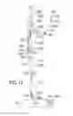 Fig. 13 - INSTRUCTIONAL HUMANOID ROBOT APPARATUS AND A METHOD THEREOF