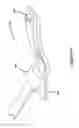 Fig. 120 - Power tool safety mechanisms