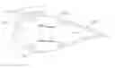 Fig. 01 - Wind turbine blade