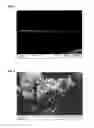 Fig. 05 - Process for the production of a structured film