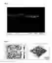 Fig. 06 - Process for the production of a structured film