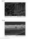 Fig. 10 - Process for the production of a structured film