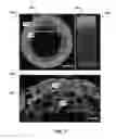 Fig. 06 - Additive manufacturing of embedded materials