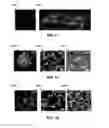 Fig. 10 - Additive manufacturing of embedded materials