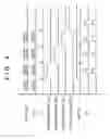 Fig. 05 - Liquid discharge component and liquid discharge apparatus