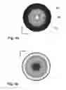 Fig. 07 - Optically variable element