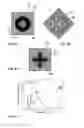 Fig. 15 - Optically variable element