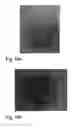 Fig. 16 - Optically variable element