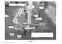 Fig. 04 - APPARATUS FOR HANDLING A VEHICLE WHEEL