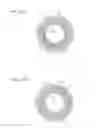 Fig. 13 - Non-pneumatic tire