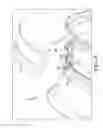Fig. 04 - ON-WHEEL AIR MAINTENANCE SYSTEM