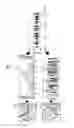 Fig. 05 - APPARATUS AND METHOD FOR CONTROLLING VEHICLE