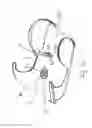 Fig. 11 - Safety belt clip