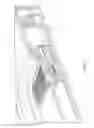 Fig. 04 - Visor with a light-base