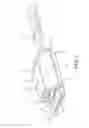 Fig. 03 - Illuminated safety restraint system