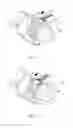 Fig. 06 - Cable anchoring device