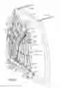 Fig. 24 - Aerodynamic drag reducing apparatus