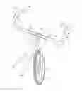 Fig. 01 - Bicycle having front wheel driving means