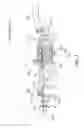Fig. 03 - Multiple bicycle sprocket assembly