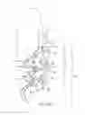 Fig. 03 - Linear derailleur mechanism
