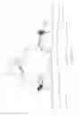 Fig. 03 - Snowmobile with leaning capability and improvements therefor