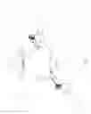 Fig. 05 - Snowmobile with leaning capability and improvements therefor