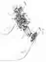 Fig. 24 - Snowmobile with leaning capability and improvements therefor