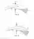 Fig. 06 - TRACK CONTAINER