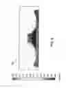 Fig. 07 - Variable displacement container base