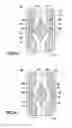 Fig. 08 - Apparatus and methods for entraining a substance in a fluid stream