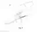 Fig. 04 - Sheet-feeding device with multistage stop arms
