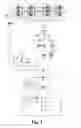 Fig. 03 - Lifting-device brake system