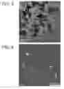 Fig. 05 - A PERMANENT MAGNETIC MATERIAL