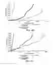 Fig. 04 - FILTRATION MEDIUM COMPRISING NITROGEN AND SULFUR