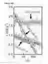 Fig. 16 - Potential of zero charge-based capacitive deionization
