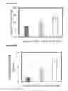 Fig. 41 - Potential of zero charge-based capacitive deionization