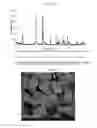 Fig. 04 - Photocatalysts based on bismuth oxyhalide, process for their preparation and uses thereof