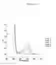 Fig. 14 - Photocatalysts based on bismuth oxyhalide, process for their preparation and uses thereof