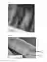 Fig. 05 - Inorganic fibre compositions