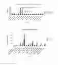 Fig. 05 - COMPACTED MURIATE OF POTASH FERTILIZERS CONTAINING MICRONUTRIENTS AND METHODS OF MAKING SAME