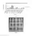 Fig. 06 - COMPACTED MURIATE OF POTASH FERTILIZERS CONTAINING MICRONUTRIENTS AND METHODS OF MAKING SAME