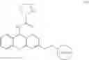 Fig. 10 - 1- [1-(benzoyl)-pyrrolidine-2-carbonyl]-pyrrolidine-2-carbonitrile derivatives