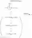 Fig. 07 - Biaryl derivatives as GPR120 agonists