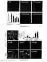 Fig. 19 - NOVEL BISAMINOQUINOLINE COMPOUNDS, PHARMACEUTICAL COMPOSITIONS PREPARED THEREFROM AND THEIR USE