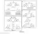 Fig. 25 - NOVEL BISAMINOQUINOLINE COMPOUNDS, PHARMACEUTICAL COMPOSITIONS PREPARED THEREFROM AND THEIR USE